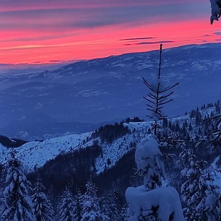 Uki & Sofi Mountain House Hotel Kopaonik Eksteriør billede