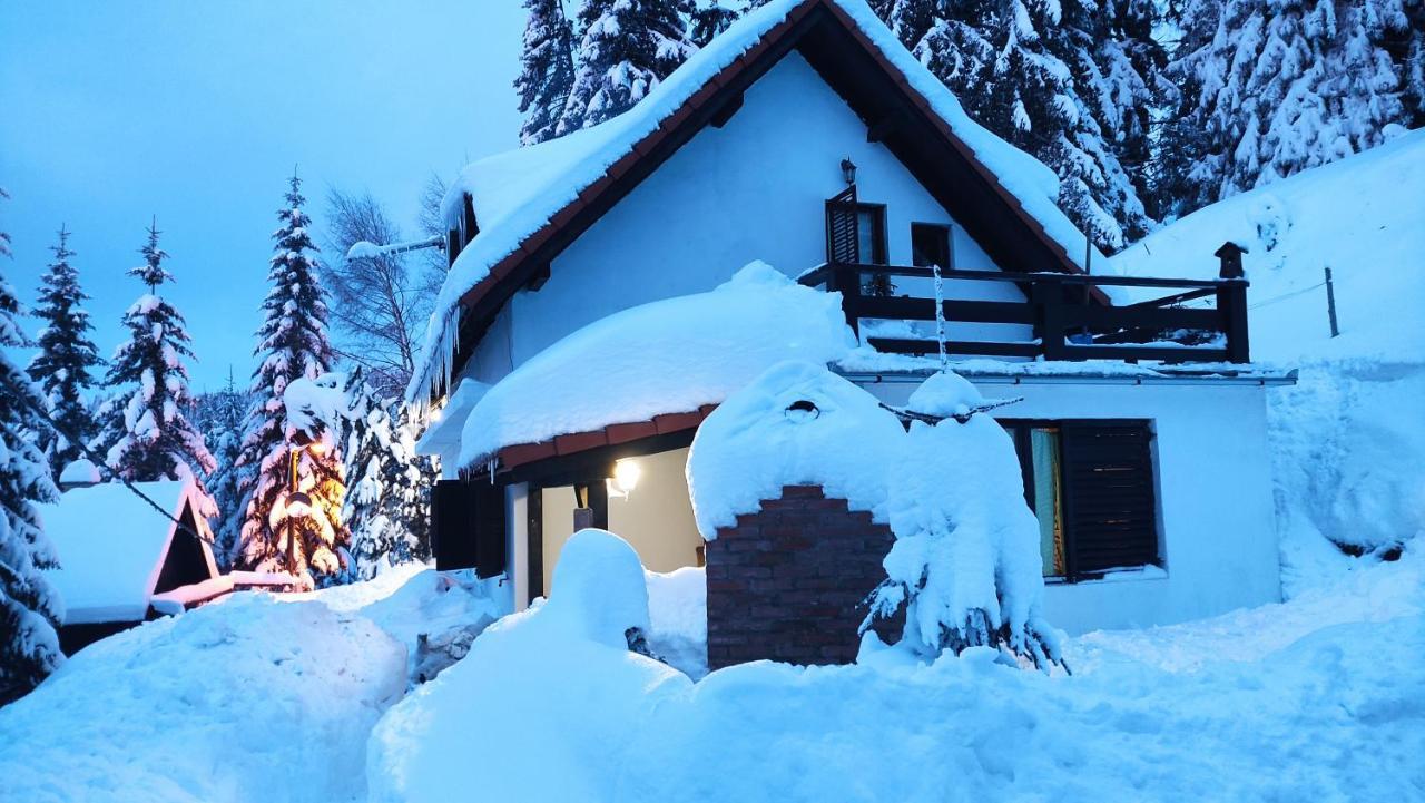 Uki & Sofi Mountain House Hotel Kopaonik Eksteriør billede