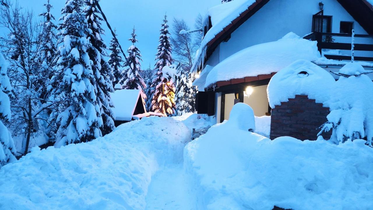 Uki & Sofi Mountain House Hotel Kopaonik Eksteriør billede