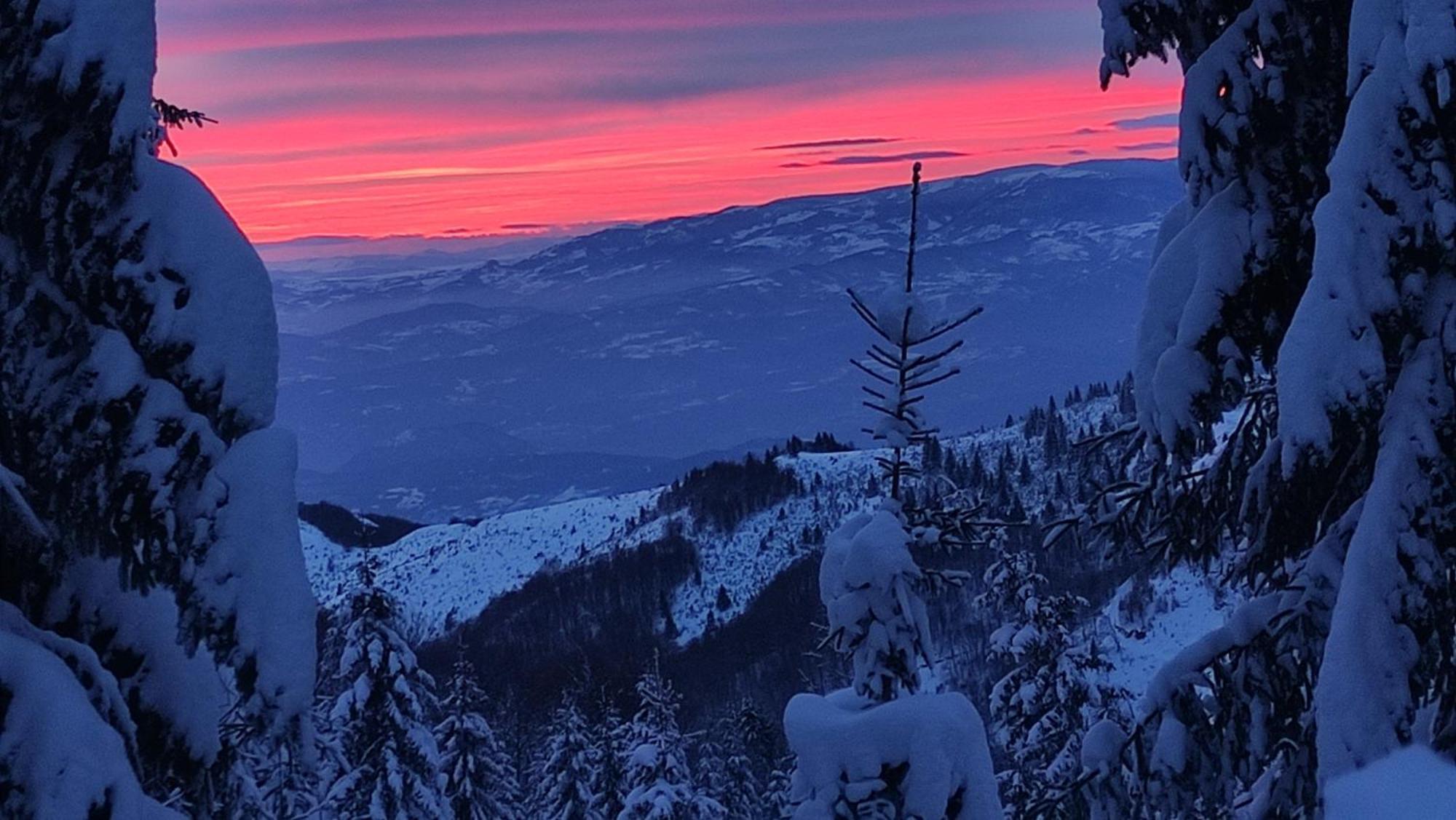 Uki & Sofi Mountain House Hotel Kopaonik Eksteriør billede
