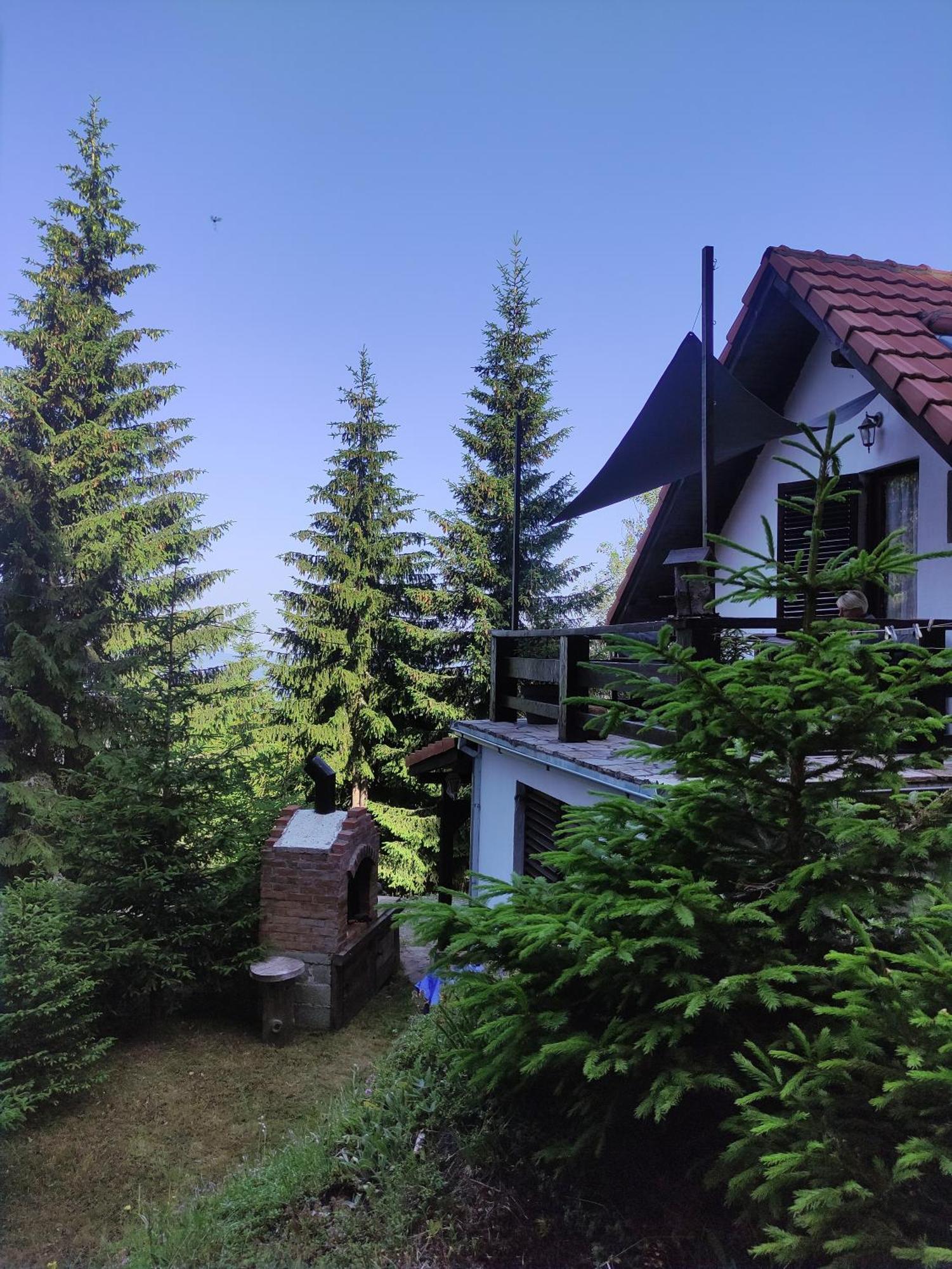 Uki & Sofi Mountain House Hotel Kopaonik Værelse billede