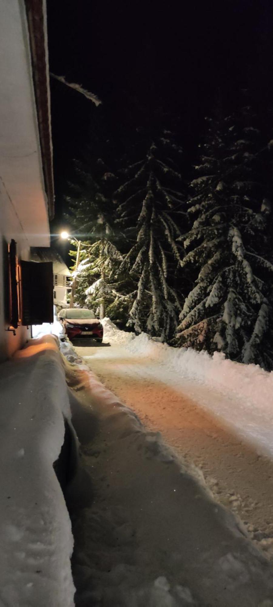 Uki & Sofi Mountain House Hotel Kopaonik Eksteriør billede