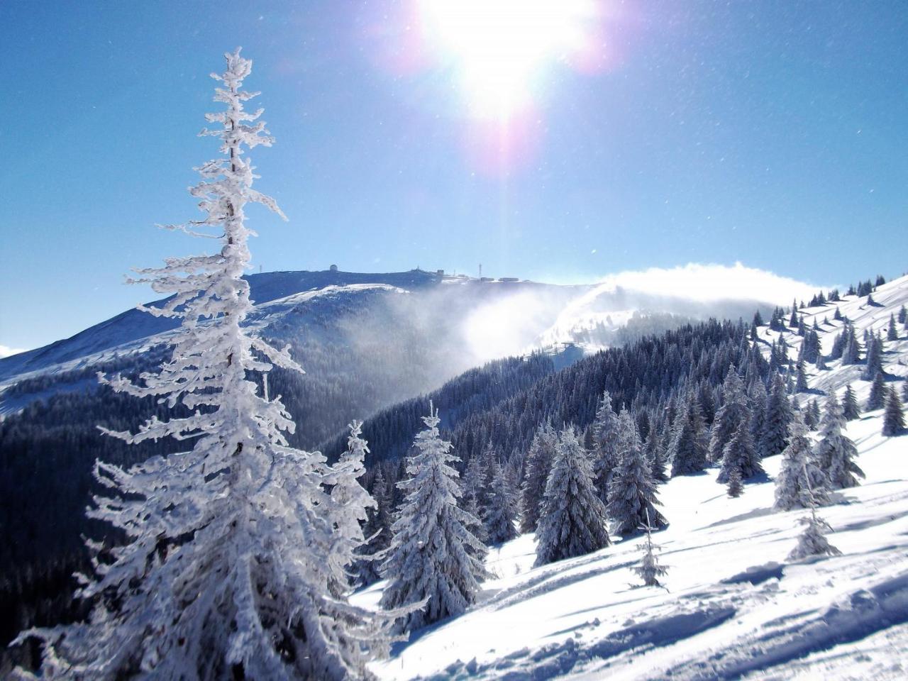 Uki & Sofi Mountain House Hotel Kopaonik Eksteriør billede