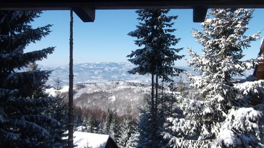 Uki & Sofi Mountain House Hotel Kopaonik Eksteriør billede